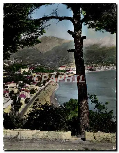 Cartes postales moderne Menton Vue Prise du Cap Martin