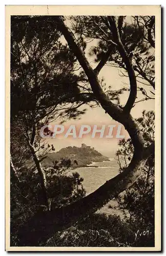 Cartes postales Le Cap Ferrat Vu a Travers les Pins d&#39Alep