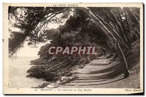 Cartes postales Menton Un Sous Bois au Cap Martin