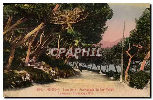 Ansichtskarte AK Menton Sous Bois Promenade du Cap Martin