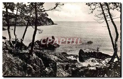 Cartes postales moderne Cannes Le Trayas