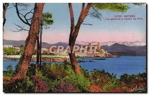 Cartes postales Antibes Vue Generale A Travers les Pins