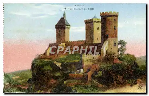 Cartes postales Foix L&#39Ariege Le Chateau