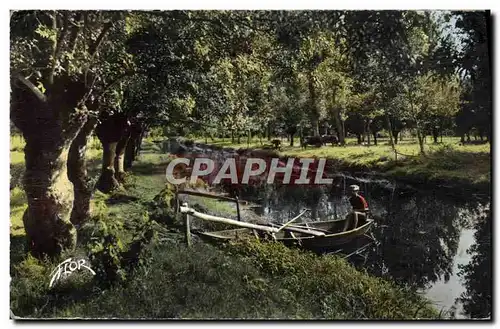 Cartes postales moderne La Venise Verte Peche et paturages en plein coeur des marais