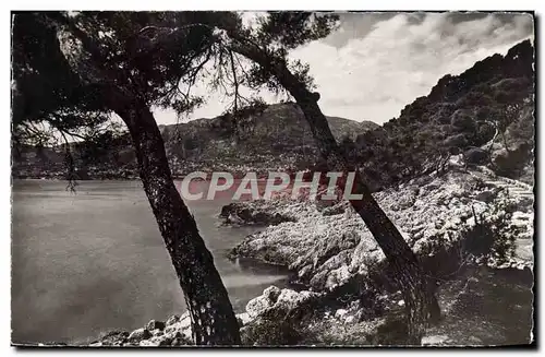 Cartes postales moderne La Cote D&#39Azur Environs De Menton Le Cap Martin