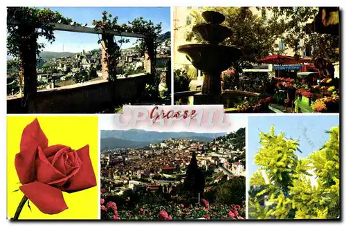 Cartes postales moderne Grasse Vue generale Marche aux fleurs Vue generale