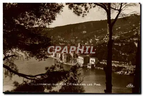 Cartes postales Villeranche Sur Mer A Travers Les Pins