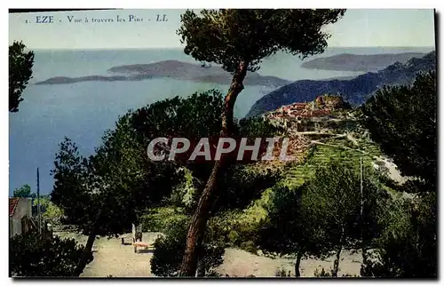 Cartes postales Eze Vue a Travers les Pins