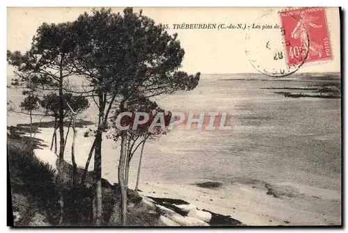 Cartes postales Trebeurden Les Pins