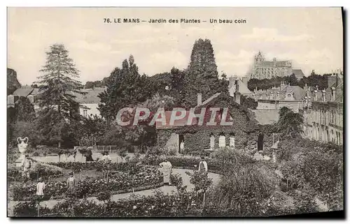 Ansichtskarte AK Le Mans Jardin des Plantes Un Beau Coin