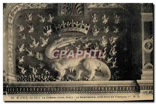 Cartes postales Blois Le Chateau La Salamandre embleme de Francois 1er