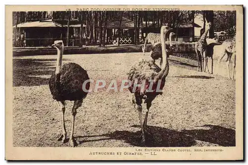 Ansichtskarte AK Autruches Et Girafes Zoo Bois de Vincennes