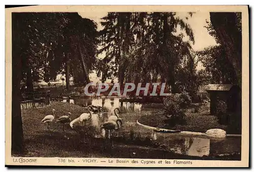 Cartes postales Vichy Le Bassin Des Cygnes Et Les Flamants