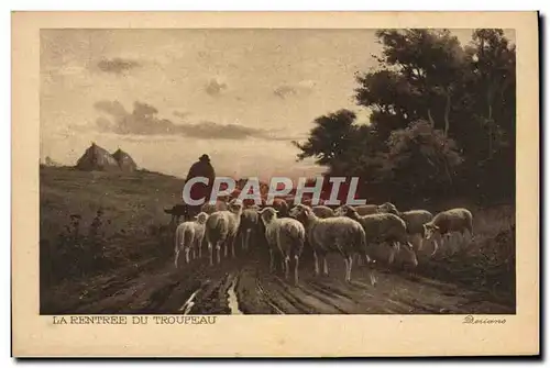 Cartes postales La Rentree Du Troupeau Moutons