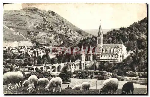 VINTAGE POSTCARD Heavy the Basilica And the Peak Of Jer