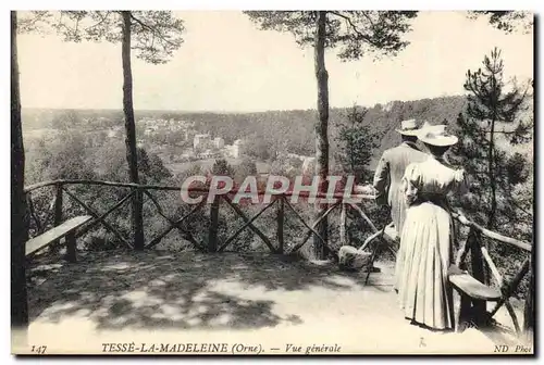 Cartes postales Tesse La Madeleine Vue Generale