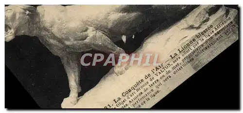 Cartes postales La Conquete De I&#39Air La lionne blesse Lion Valton