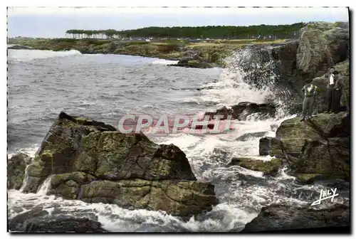 Cartes postales moderne Les Sables D'Olonne La Cote Sauvage Au fond Camping de la pironiere