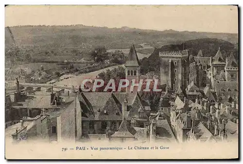 Cartes postales Pau Vue Panoramique Le Chateau Et Le Gave