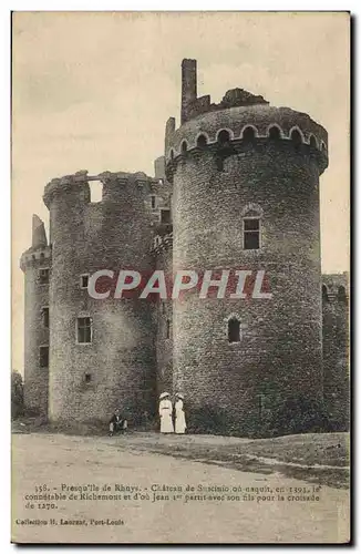 Cartes postales Presquile De Rhuys Chateau De Suscinio