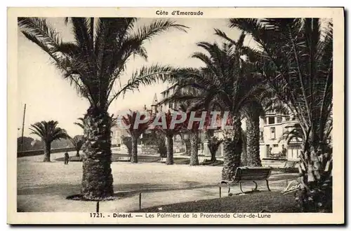 Cartes postales Dinard Les Palmiers De La Promenade Clair De Lune