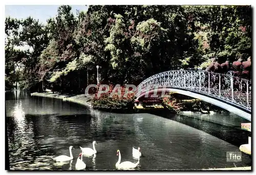 Cartes postales moderne Bordeaux La Riviere Du Jardin Public Cygnes