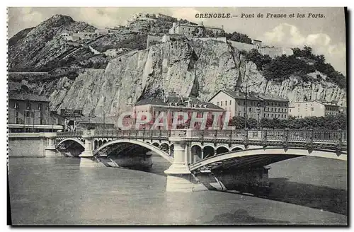 Cartes postales Grenoble Pont De France Et Les Forts