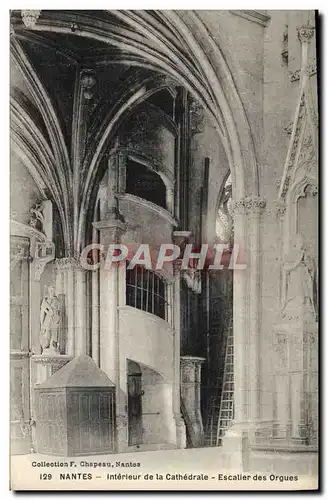 Cartes postales Nantes Interieur de la Cathedrale Escalier des Orgues