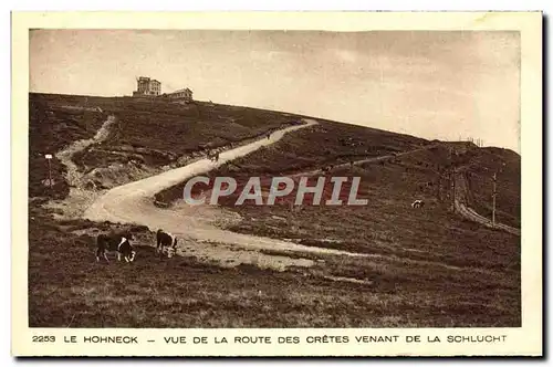 Ansichtskarte AK Le Hohneck Vue De La Route Des Cretes Venant de la Schlucht