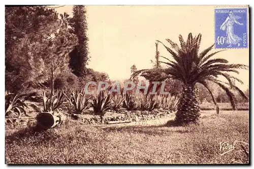 Cartes postales Hyeres Jardin Olbius Riquier Type de la flore locale