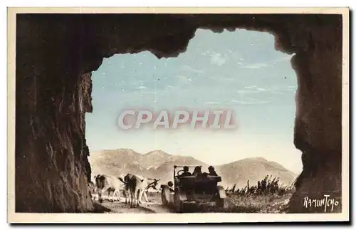 Cartes postales La route thermale Le tunnel d&#39Aubisque Vaches Automobile