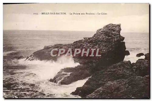 Cartes postales Belle Isle Sauzon La Pointe aux Poulains Le chien