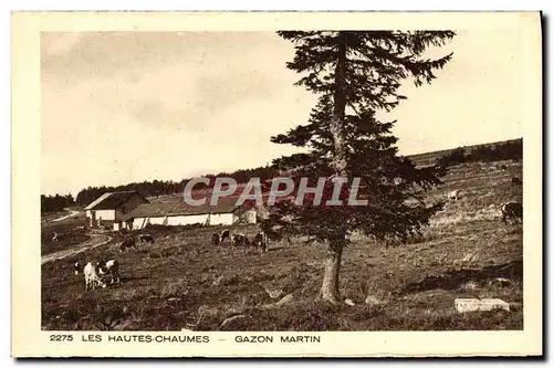 Cartes postales Les Hautes Chaumes Gazon Martin