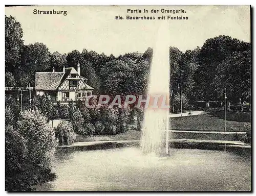 Ansichtskarte AK Strassbourg Partie in der Orangerie