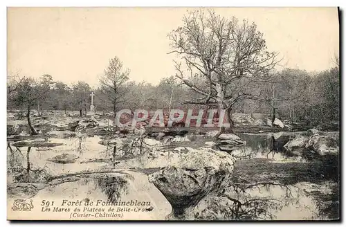 Ansichtskarte AK Foret De Fontainebleau Les mares du plateau de Belle Croix Cuvier Chatillon