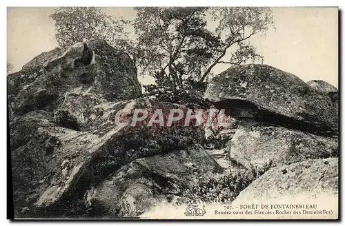 Ansichtskarte AK Foret De Fontainebleau Rendez Vous des fiances Rocher des Demoiselles