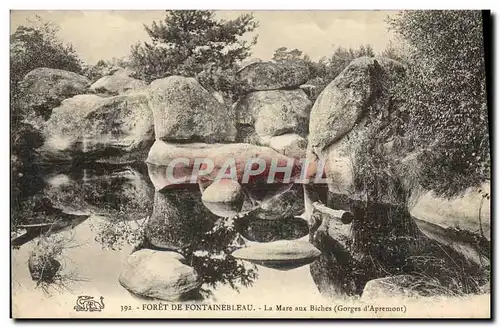 Cartes postales Foret De Fontainebleau La Mare aux Biches Gorges d&#39Apremont