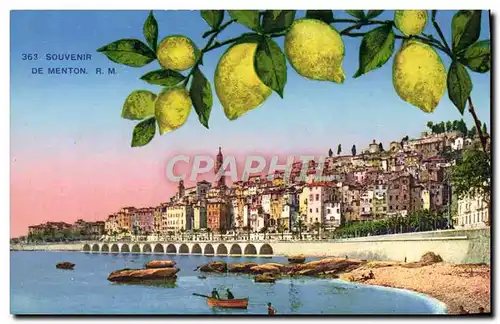 Ansichtskarte AK Souvenir De Menton Citrons