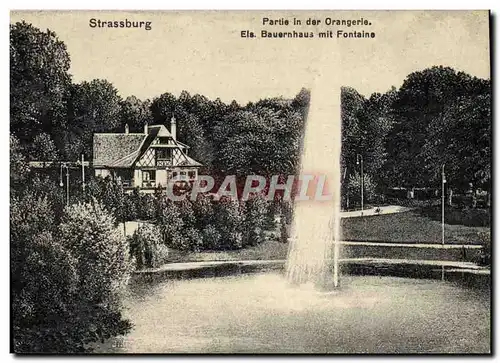 Ansichtskarte AK Strassburg Partie In Der Orangerie