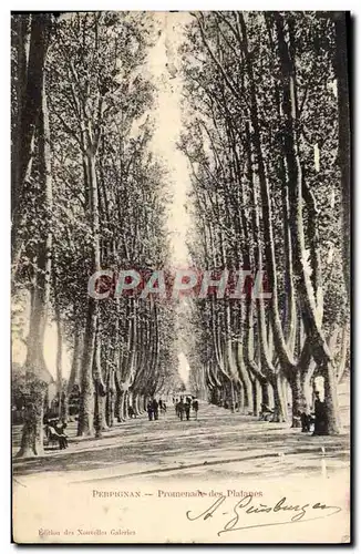 Cartes postales Perpignan Promenade Des Platanes