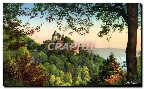 Cartes postales Lac D&#39Annecy Chateau De Menthon Saint Bernard