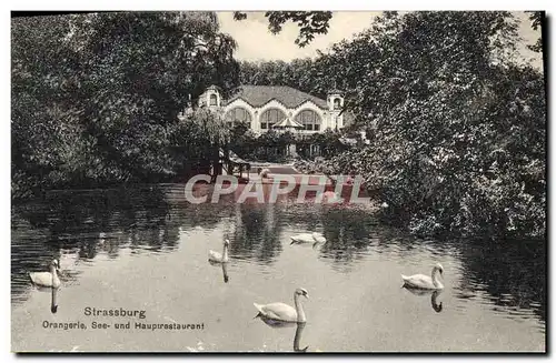 Cartes postales Strassburg Orangerie See Und Hauptrestaurant Cygnes