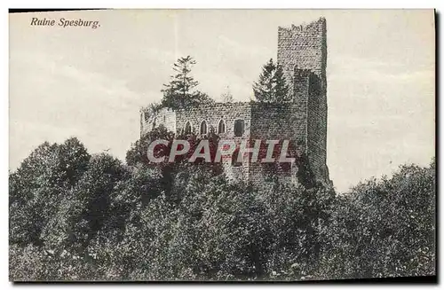 Cartes postales Ruine Spesburg