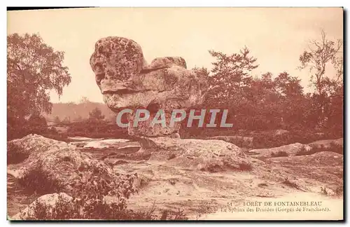 Ansichtskarte AK Foret De Fontainebleau Le Sphiux Des Druides Gorges de Franchard