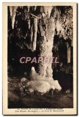 Cartes postales Grotte du Grand Roc a Laugerie Basse Le pied de mammouth