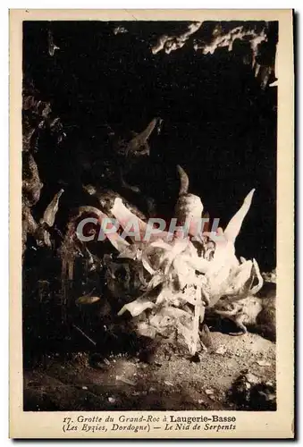 Cartes postales Grotte du Grand Roc a Laugerie Basse Le nid de serpents