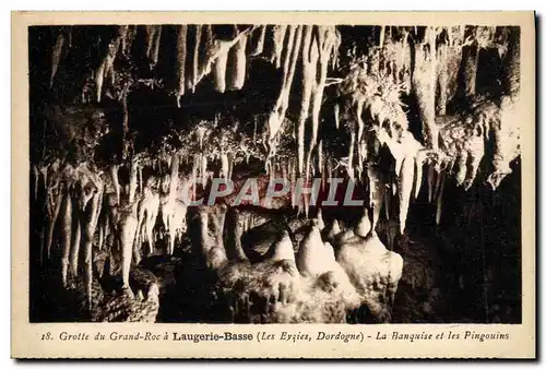 Cartes postales Grotte du Grand Roc a Laugerie Basse La banquise et les pingouins
