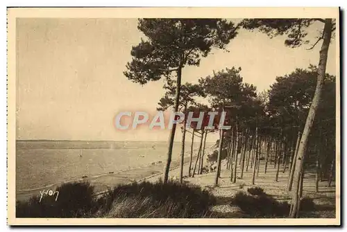 Cartes postales Arcachon Moulleau Le Parc Des Abatilles