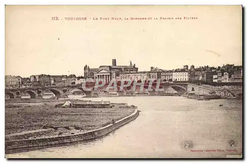 Cartes postales Toulouse Le Pont Neuf La Garonne Et La Prairie des filtres