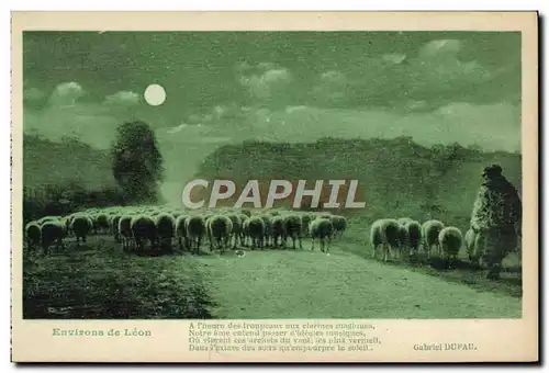 Cartes postales Environs de Leon Berger et moutons